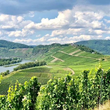 Haus Am Ufer Mit Rheinpanoramablick * Coblenza