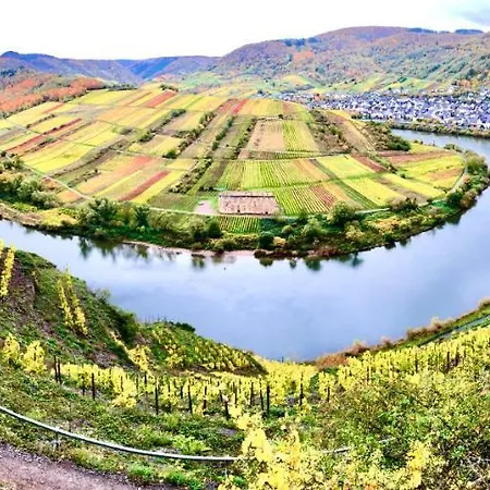 Lägenhet Haus Am Ufer Mit Rheinpanoramablick *