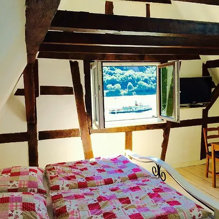 Haus Am Ufer Mit Rheinpanoramablick *