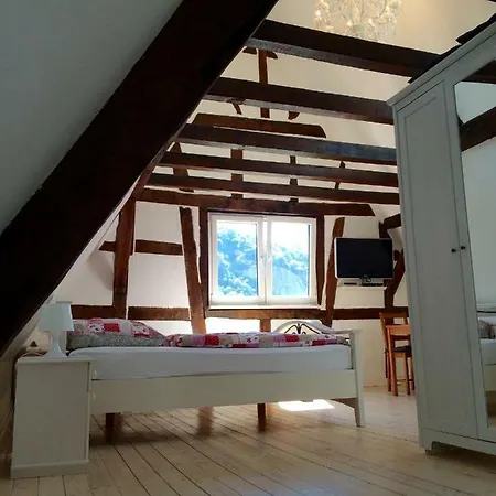 Haus Am Ufer Mit Rheinpanoramablick Koblenz (Rhineland-Palatinate)