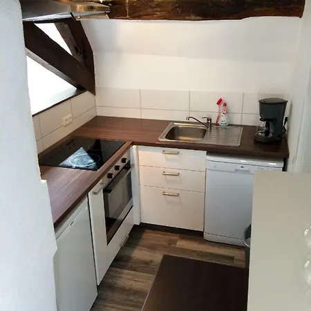 Haus Am Ufer Mit Rheinpanoramablick