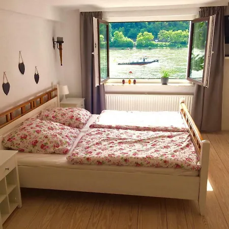 Haus Am Ufer Mit Rheinpanoramablick *