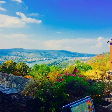 Haus Am Ufer Mit Rheinpanoramablick Lägenhet *
