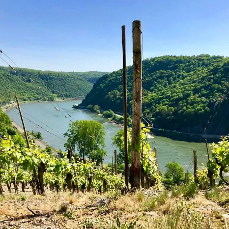 Apartman Haus Am Ufer Mit Rheinpanoramablick