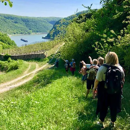 Haus Am Ufer Mit Rheinpanoramablick