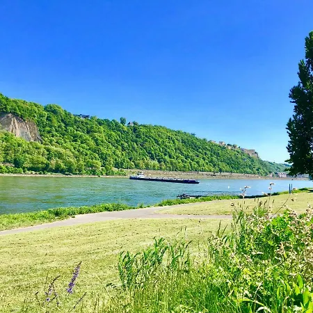 Haus Am Ufer Mit Rheinpanoramablick *