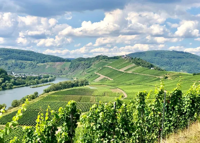 Haus Am Ufer Mit Rheinpanoramablick * Coblença