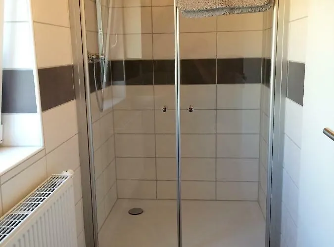 Haus Am Ufer Mit Rheinpanoramablick *