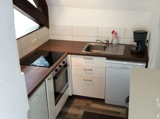 Haus Am Ufer Mit Rheinpanoramablick