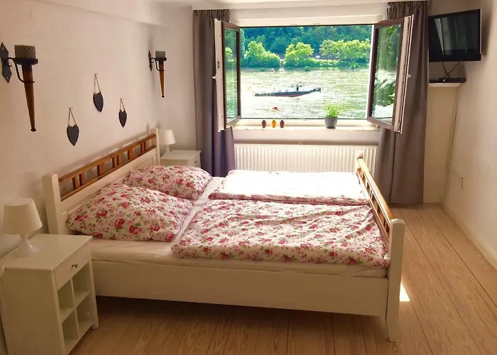 Haus Am Ufer Mit Rheinpanoramablick *