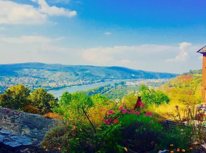 Haus Am Ufer Mit Rheinpanoramablick Apartamento *