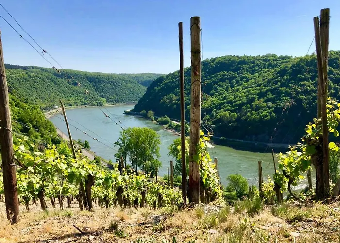 Apartamento Haus Am Ufer Mit Rheinpanoramablick